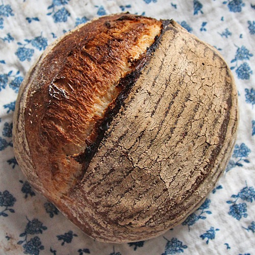 햇스펠트 30% 천연효모빵 500g, 1kg